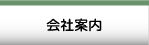 アプザワプロテーゼについて