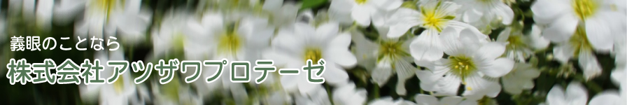 東洋一の歴史に培われた高度な技術。義眼のパイオニアアツザワプロテーゼ